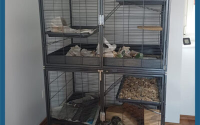 Tiaki Etagère mit Add-on