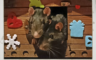 Böcke Duo Kretze und Blümchen